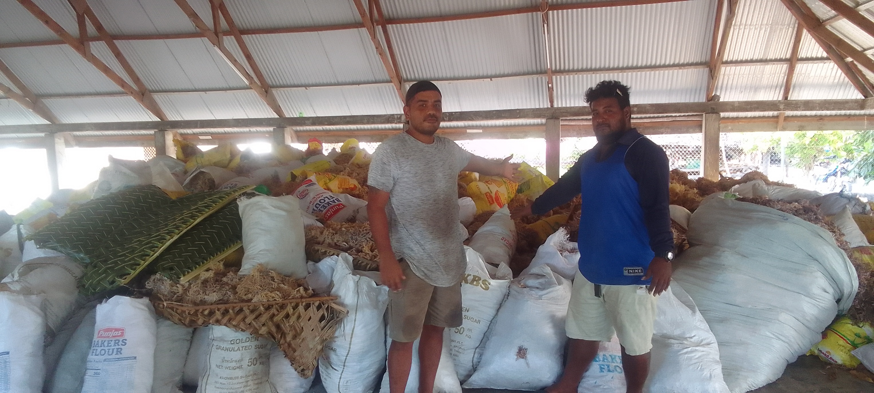 15 Tons of Dried Seaweeds from Abaiang Island Ready for Export 